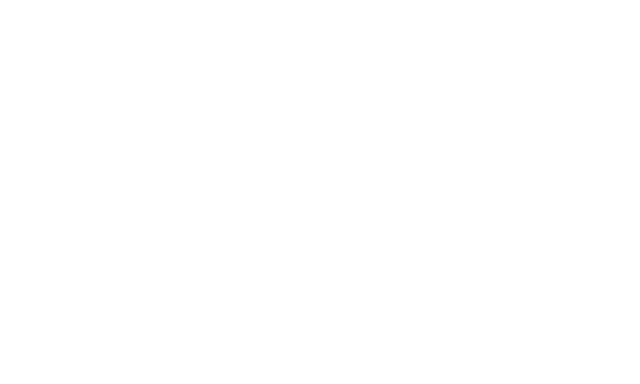 Hallstone Ventures
